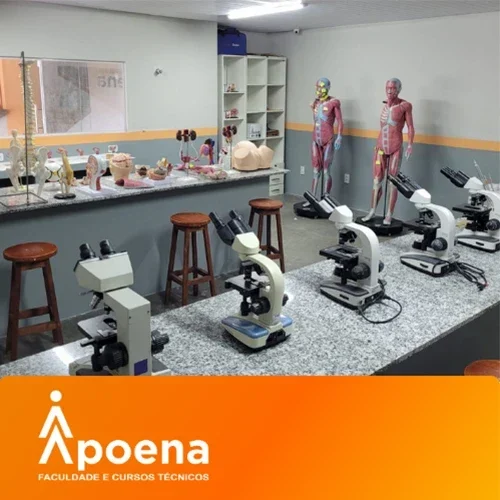 apoena-7-qkdm92w0mgv0pzetdh99wlxp54ptna6pnureajkcqw.webp