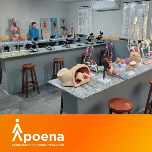 apoena-9.webp
